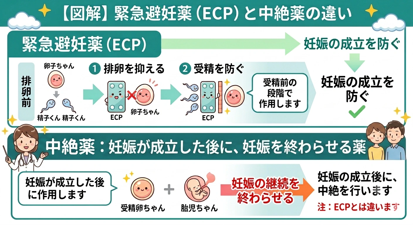アフターピル(緊急避妊薬)は妊娠が成立する前に予防する薬、中絶薬は妊娠したあとに使う薬で、まったく別のものであることを示す図解。